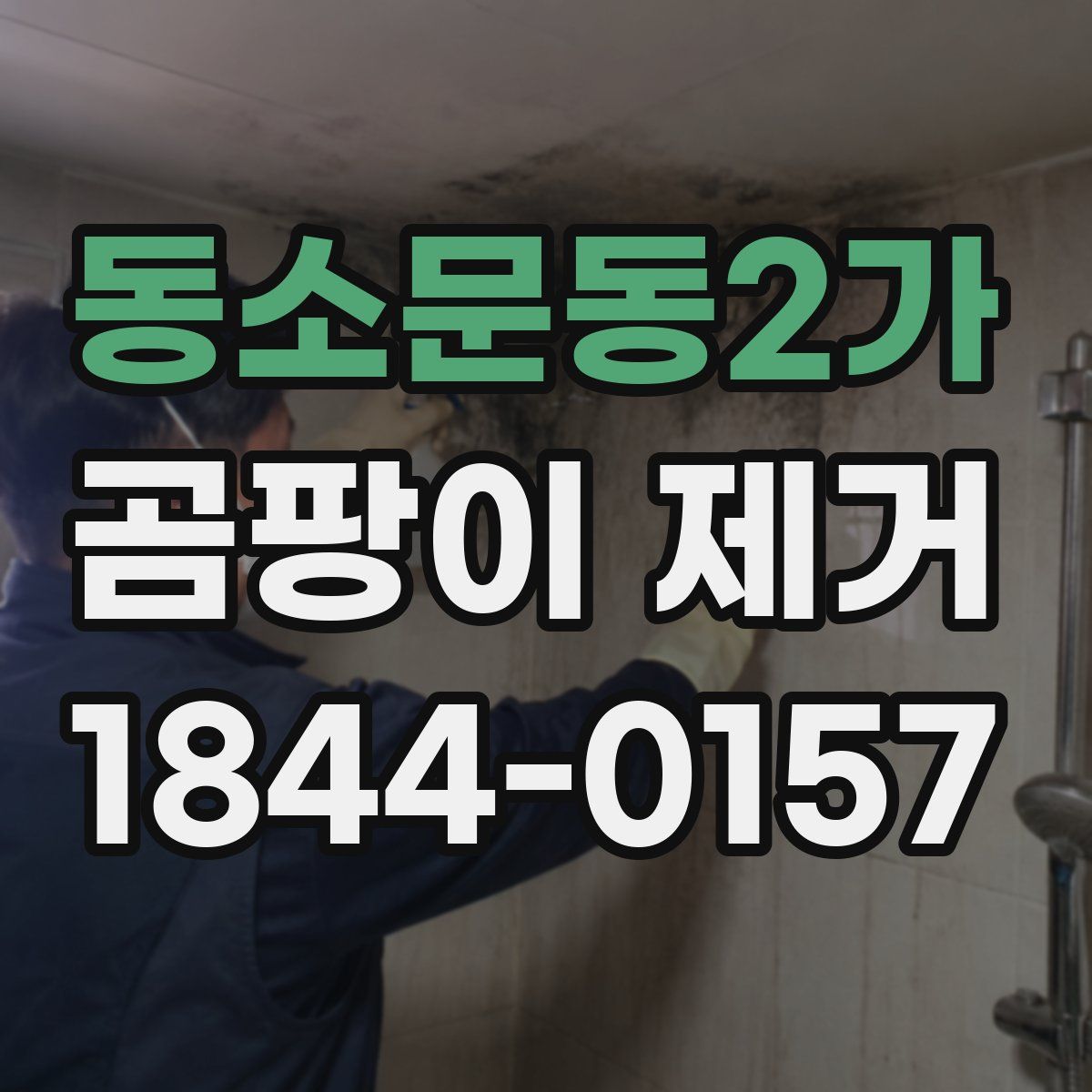 동소문동2가 곰팡이 제거