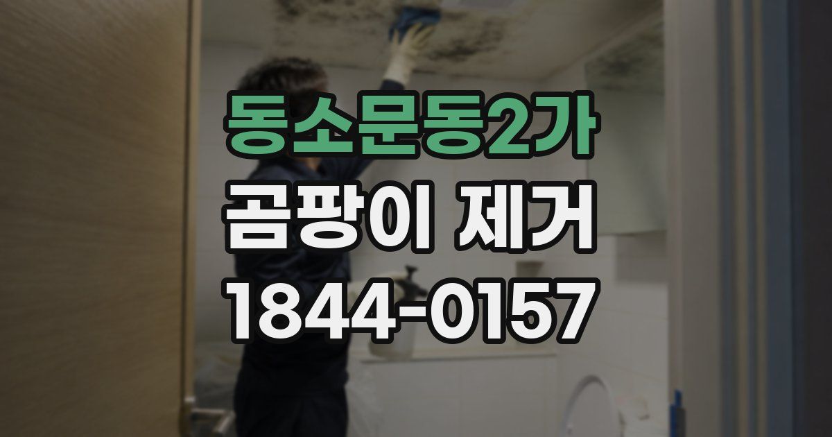 동소문동2가 곰팡이 제거