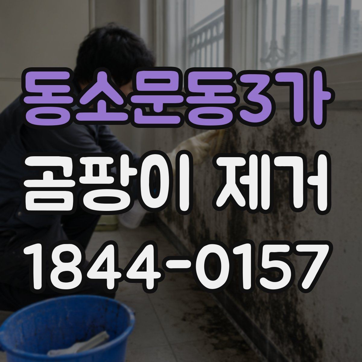 동소문동3가 곰팡이 제거 습도가 높을 때 나타나는 흔적과 패턴