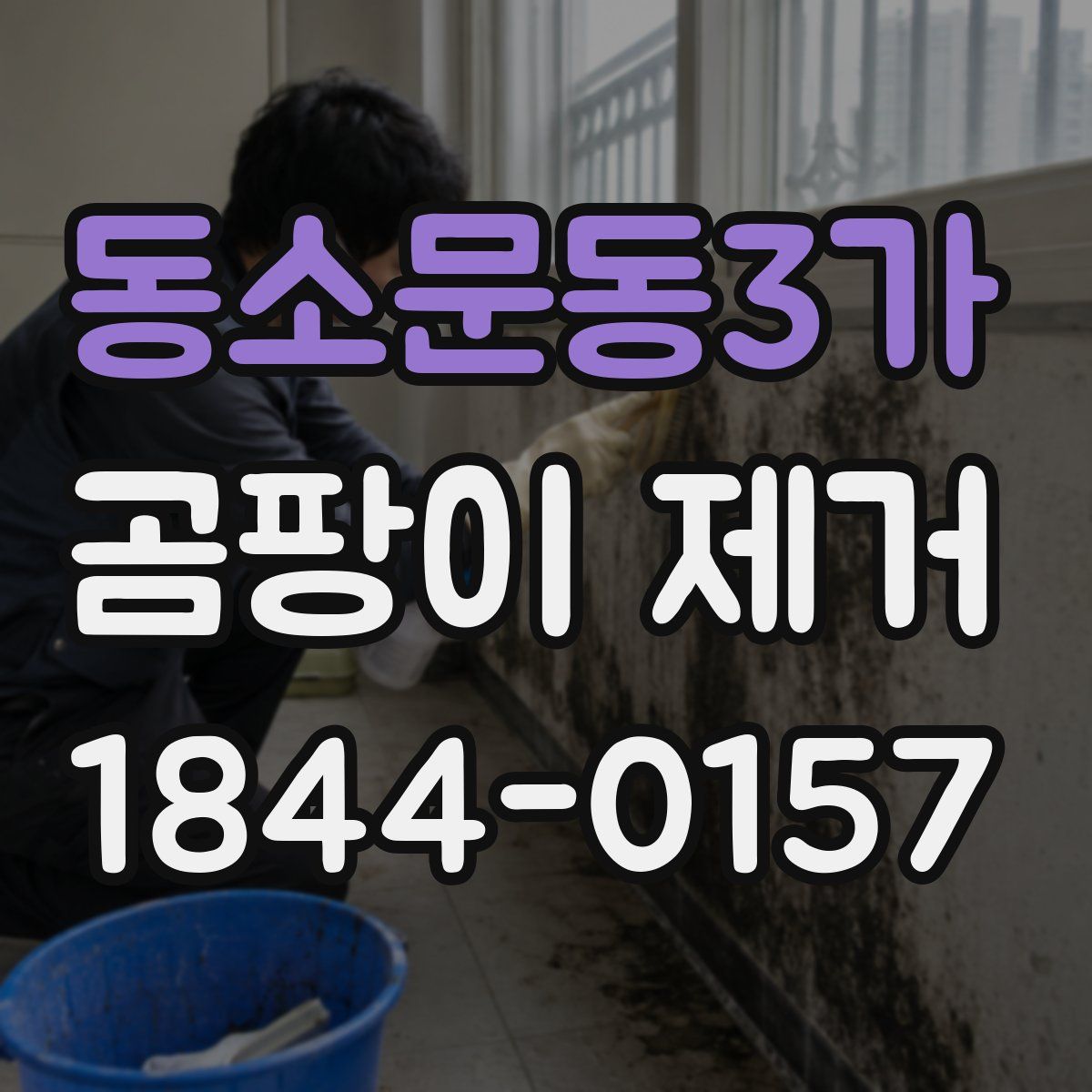 동소문동3가 곰팡이 제거