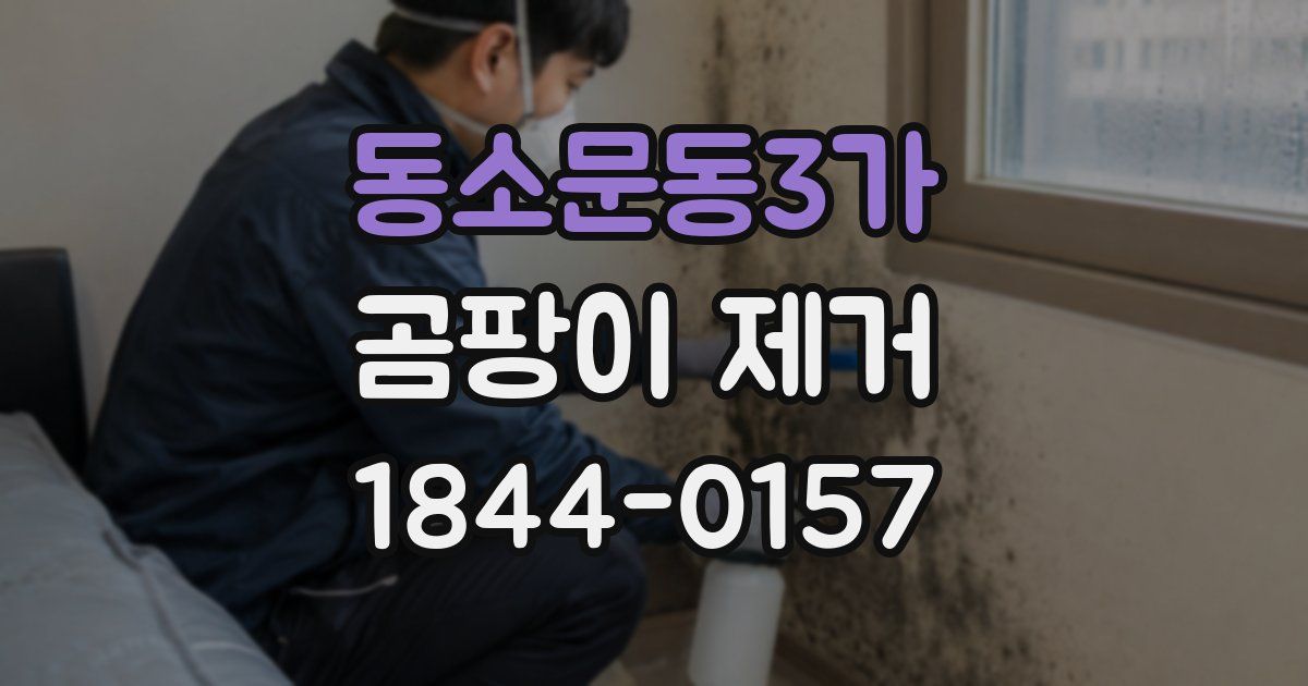 동소문동3가 곰팡이 제거