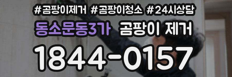 동소문동3가 곰팡이 제거