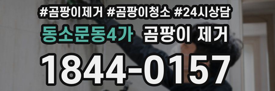 동소문동4가 곰팡이 제거