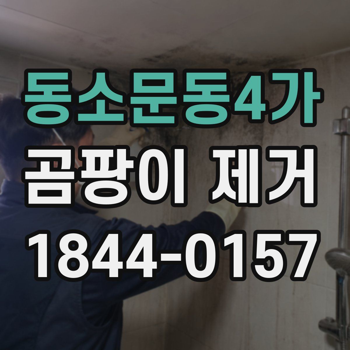 동소문동4가 곰팡이 제거