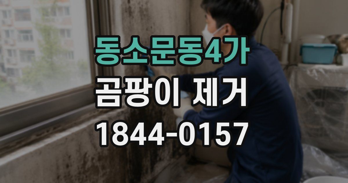 동소문동4가 곰팡이 제거