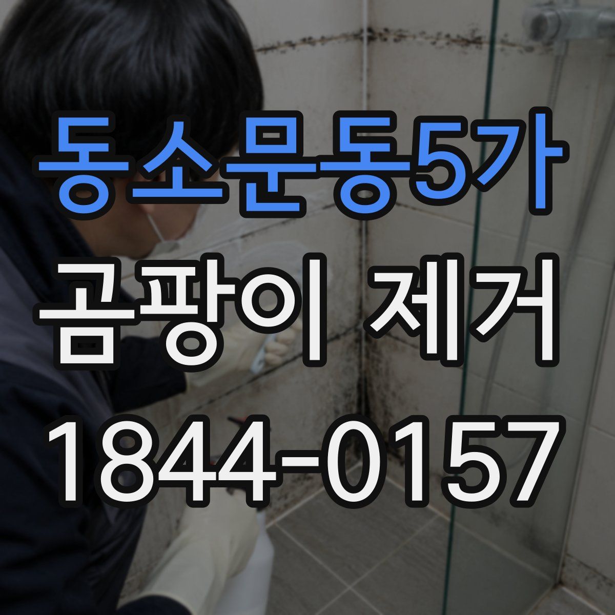 동소문동5가 곰팡이 제거
