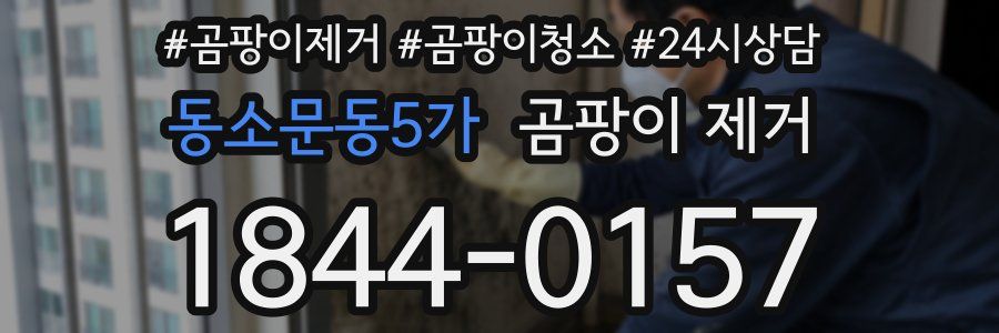 동소문동5가 곰팡이 제거