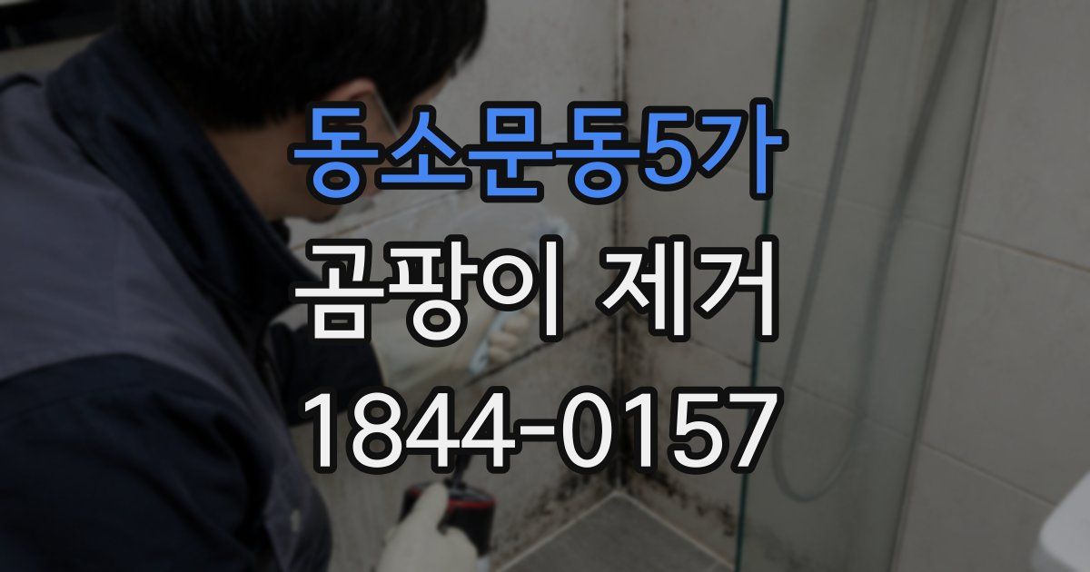 동소문동5가 곰팡이 제거