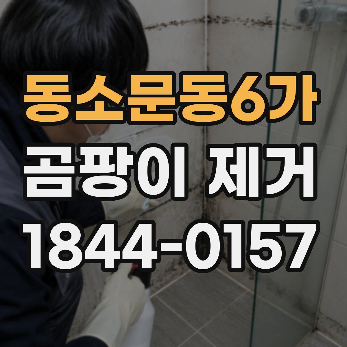 동소문동6가 곰팡이 제거