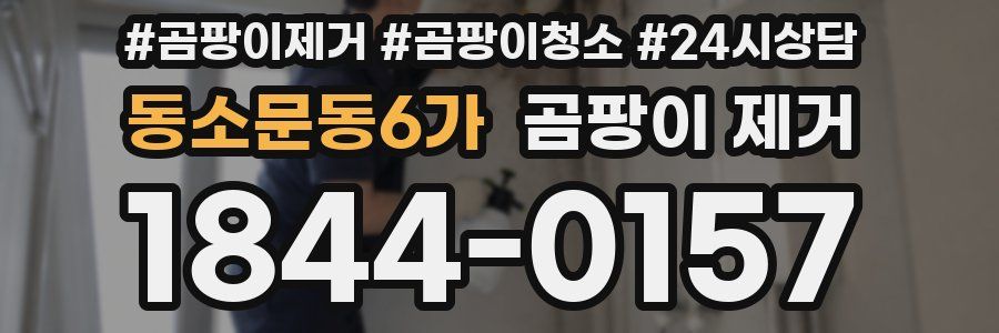 동소문동6가 곰팡이 제거