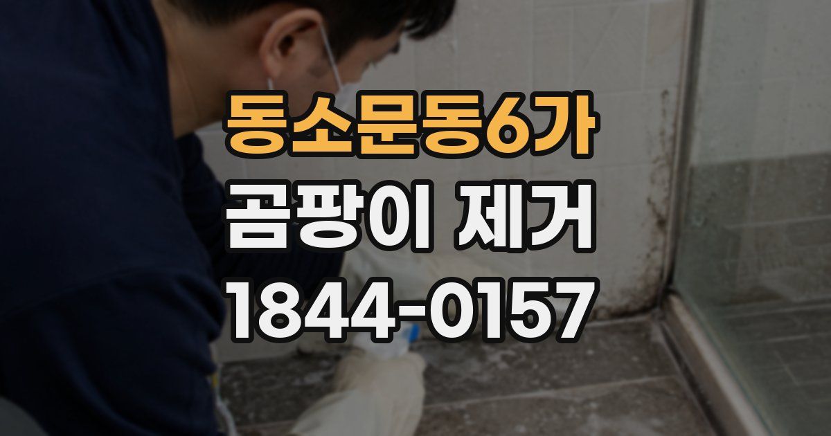 동소문동6가 곰팡이 제거