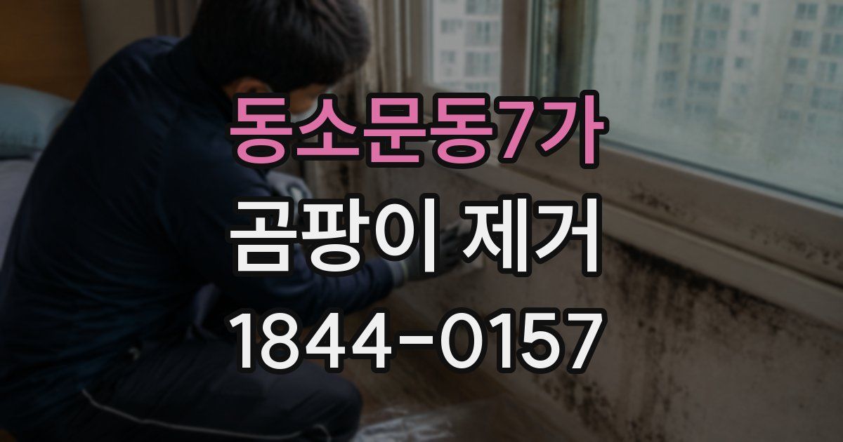 동소문동7가 곰팡이 제거