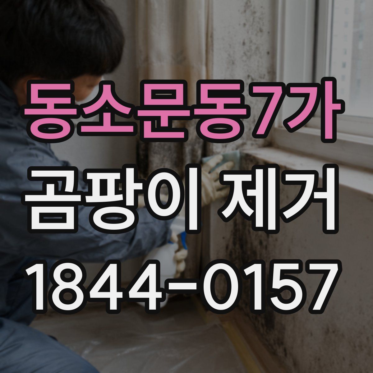 동소문동7가 곰팡이 제거