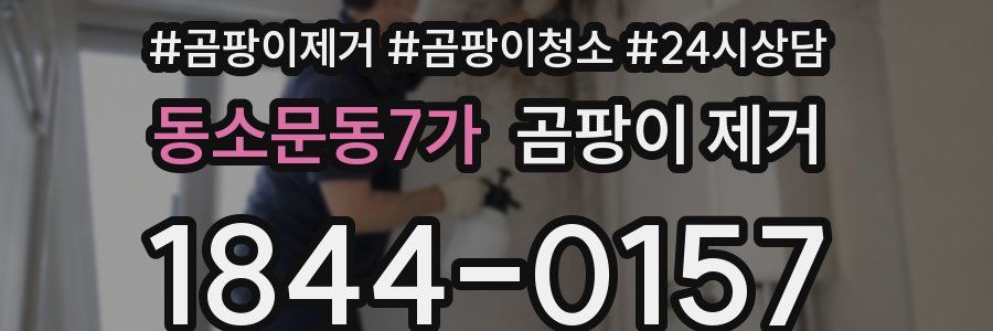 동소문동7가 곰팡이 제거