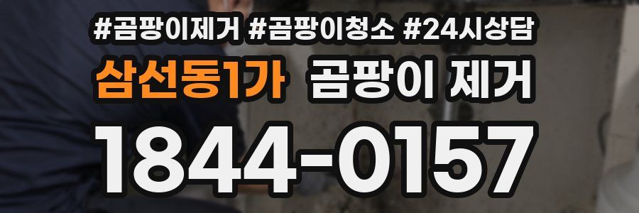 삼선동1가 곰팡이 제거