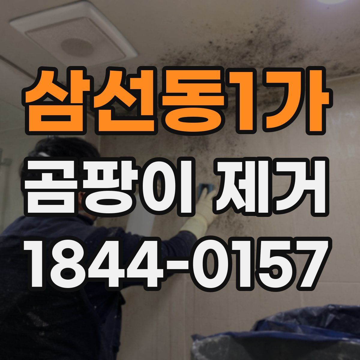 삼선동1가 곰팡이 제거