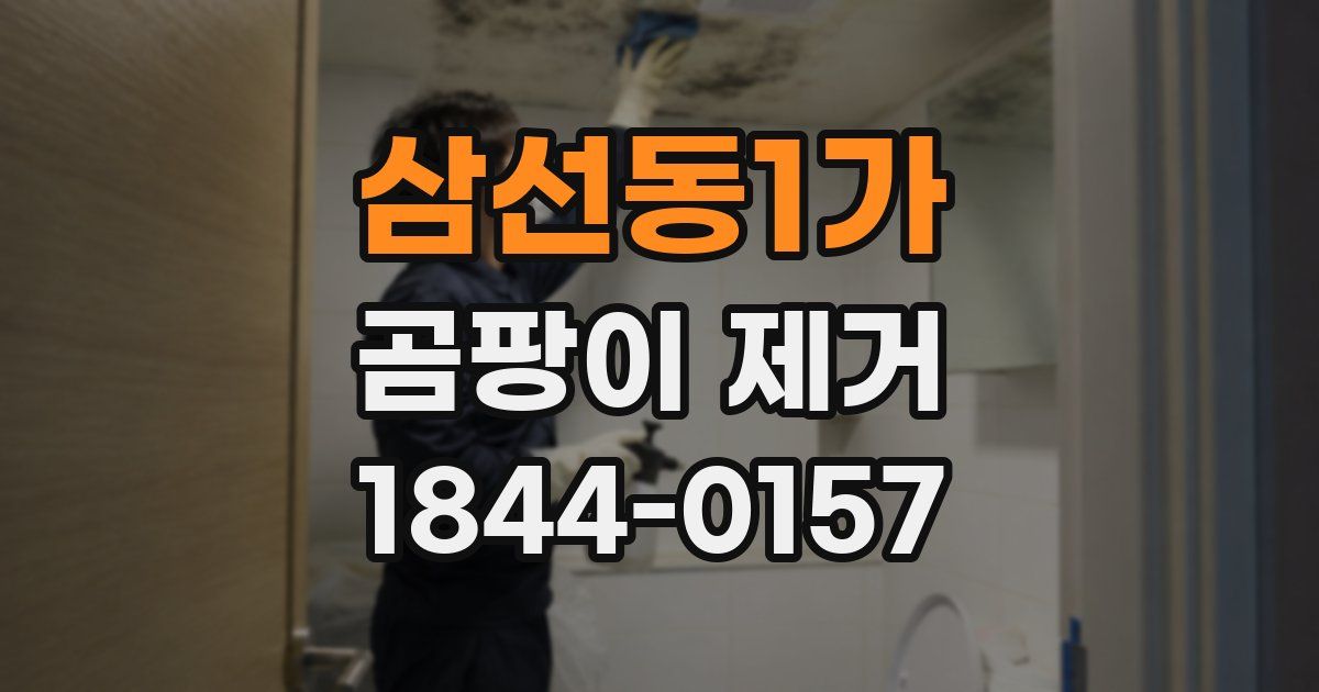 삼선동1가 곰팡이 제거