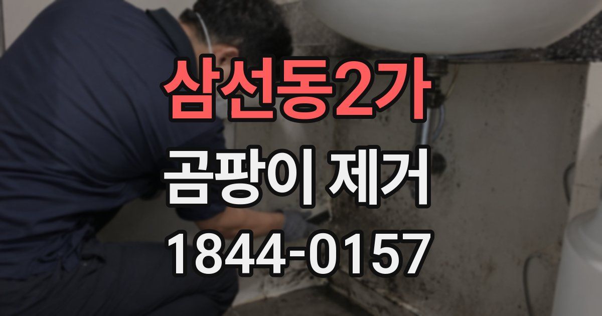 삼선동2가 곰팡이 제거