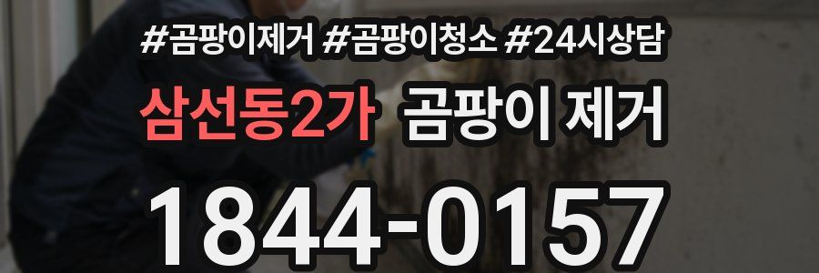 삼선동2가 곰팡이 제거