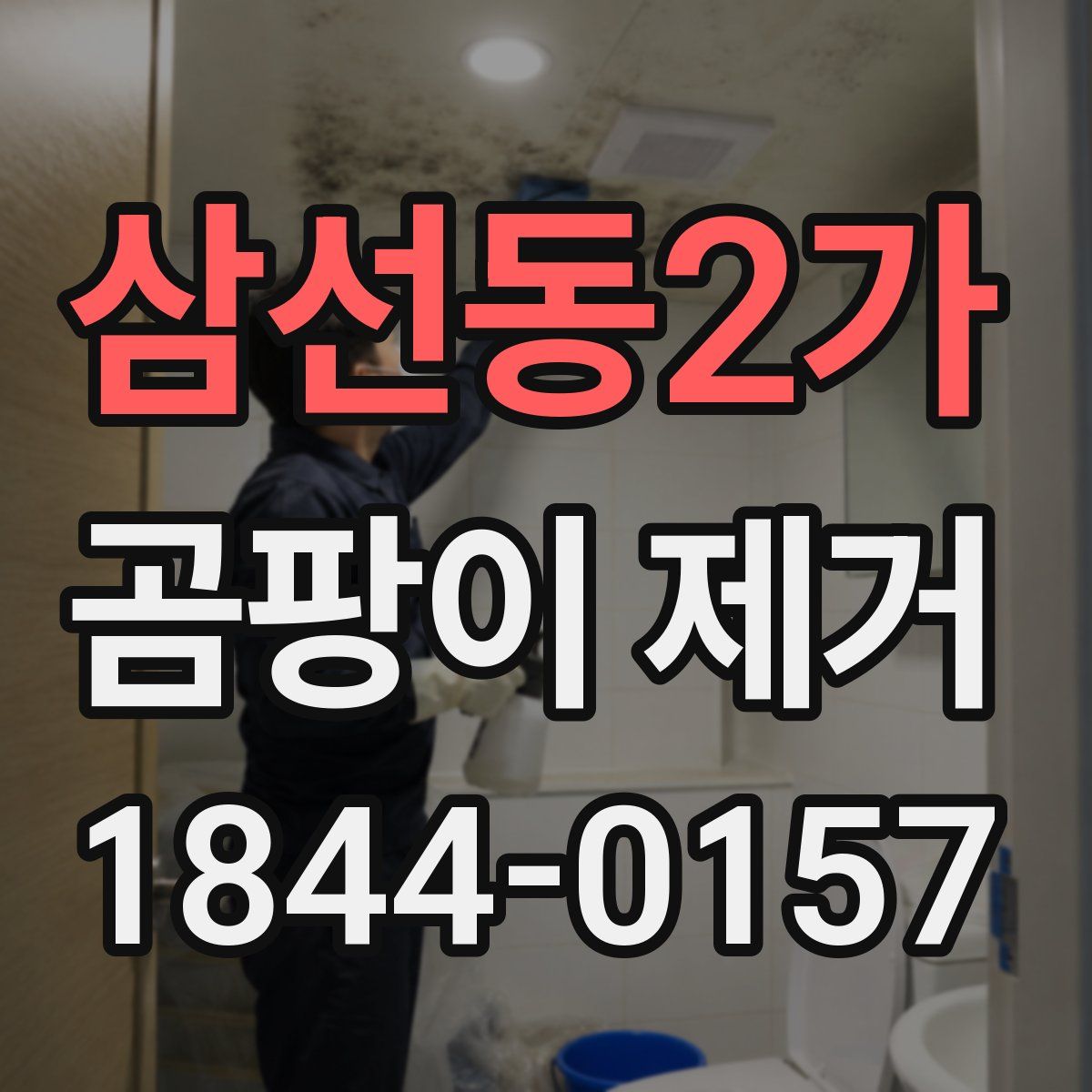 삼선동2가 곰팡이 제거