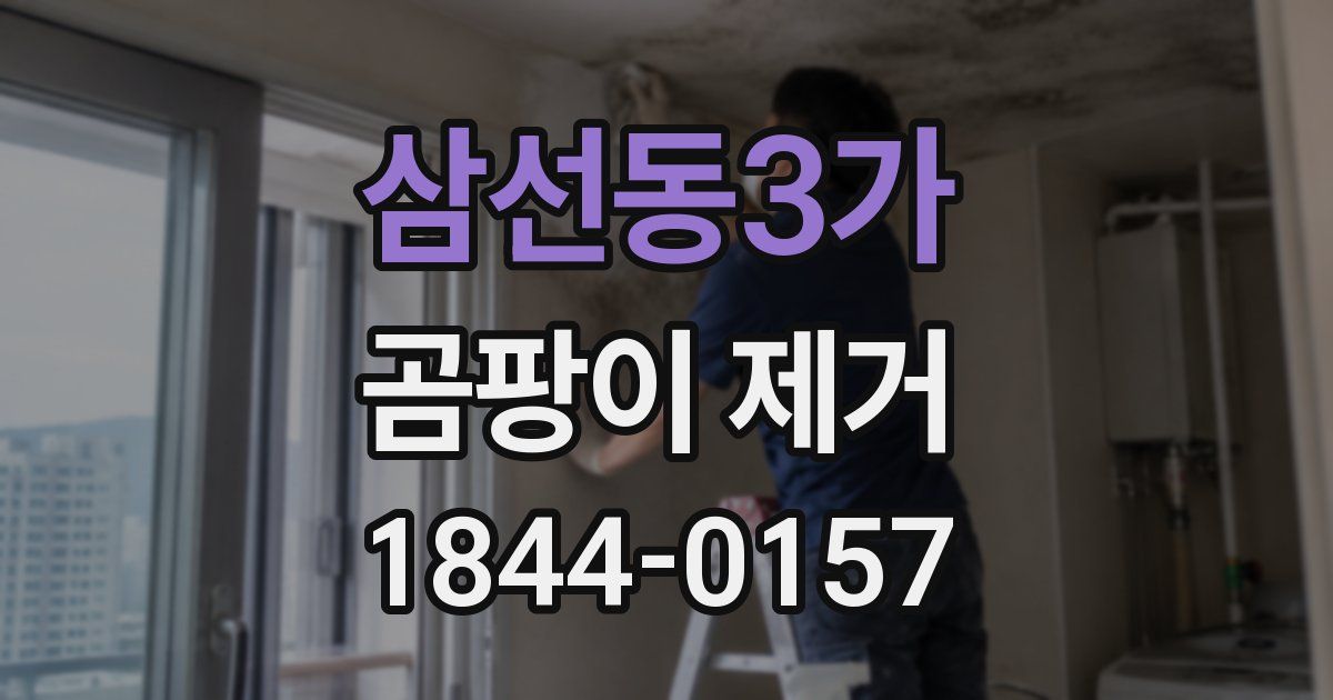 삼선동3가 곰팡이 제거