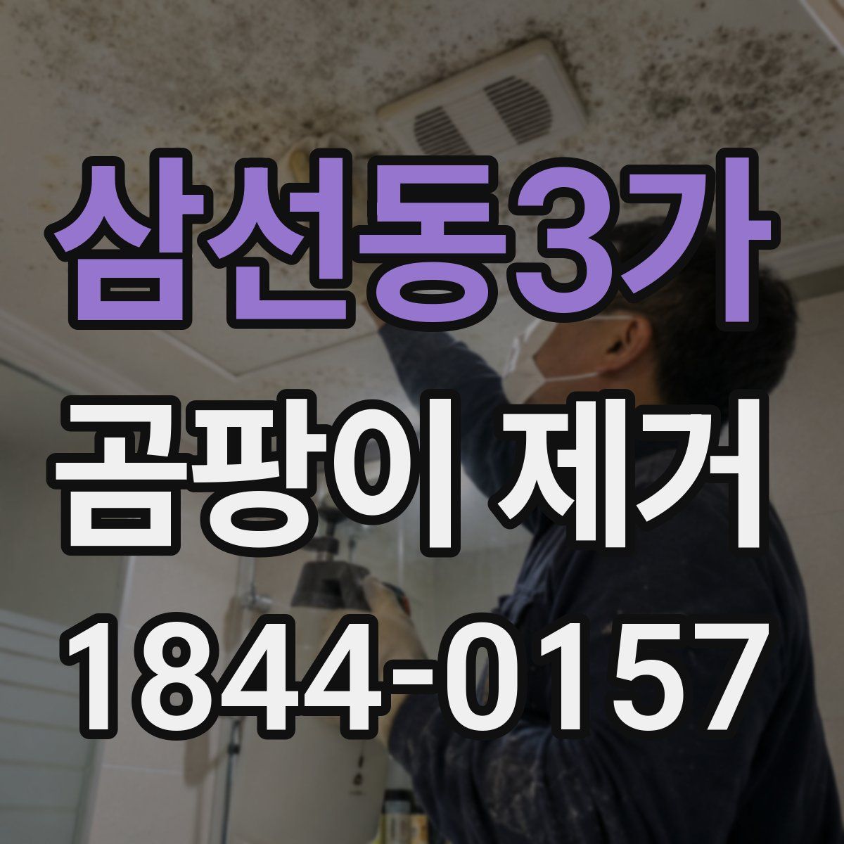 삼선동3가 곰팡이 제거