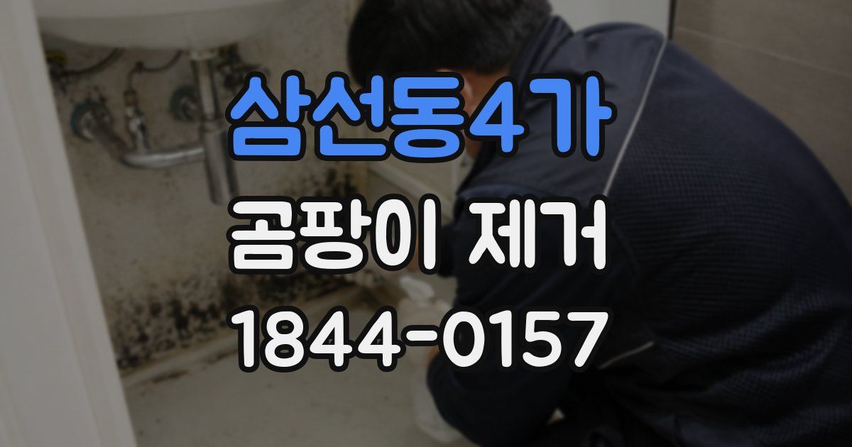 삼선동4가 곰팡이 제거