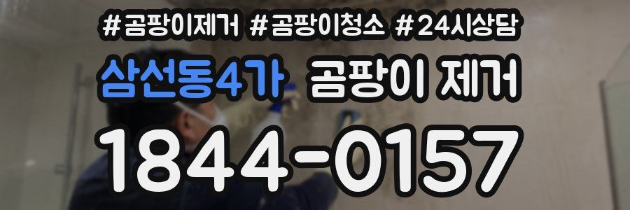 삼선동4가 곰팡이 제거