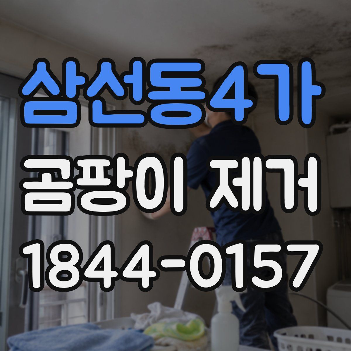 삼선동4가 곰팡이 제거