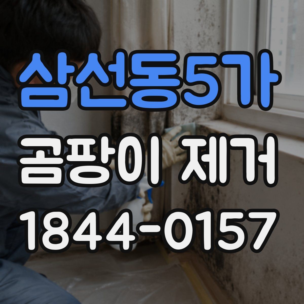 삼선동5가 곰팡이 제거 단열이 약한 벽에서 자주 생기는 이유