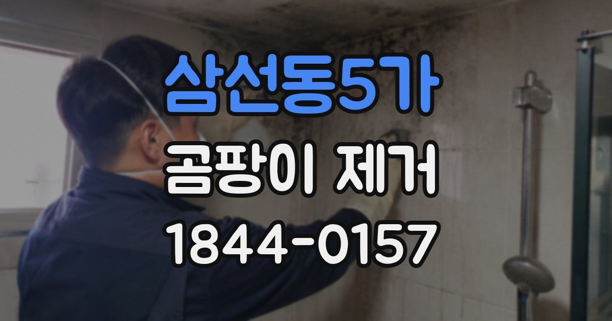 삼선동5가 곰팡이 제거