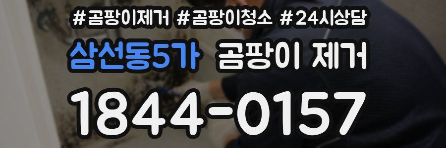 삼선동5가 곰팡이 제거