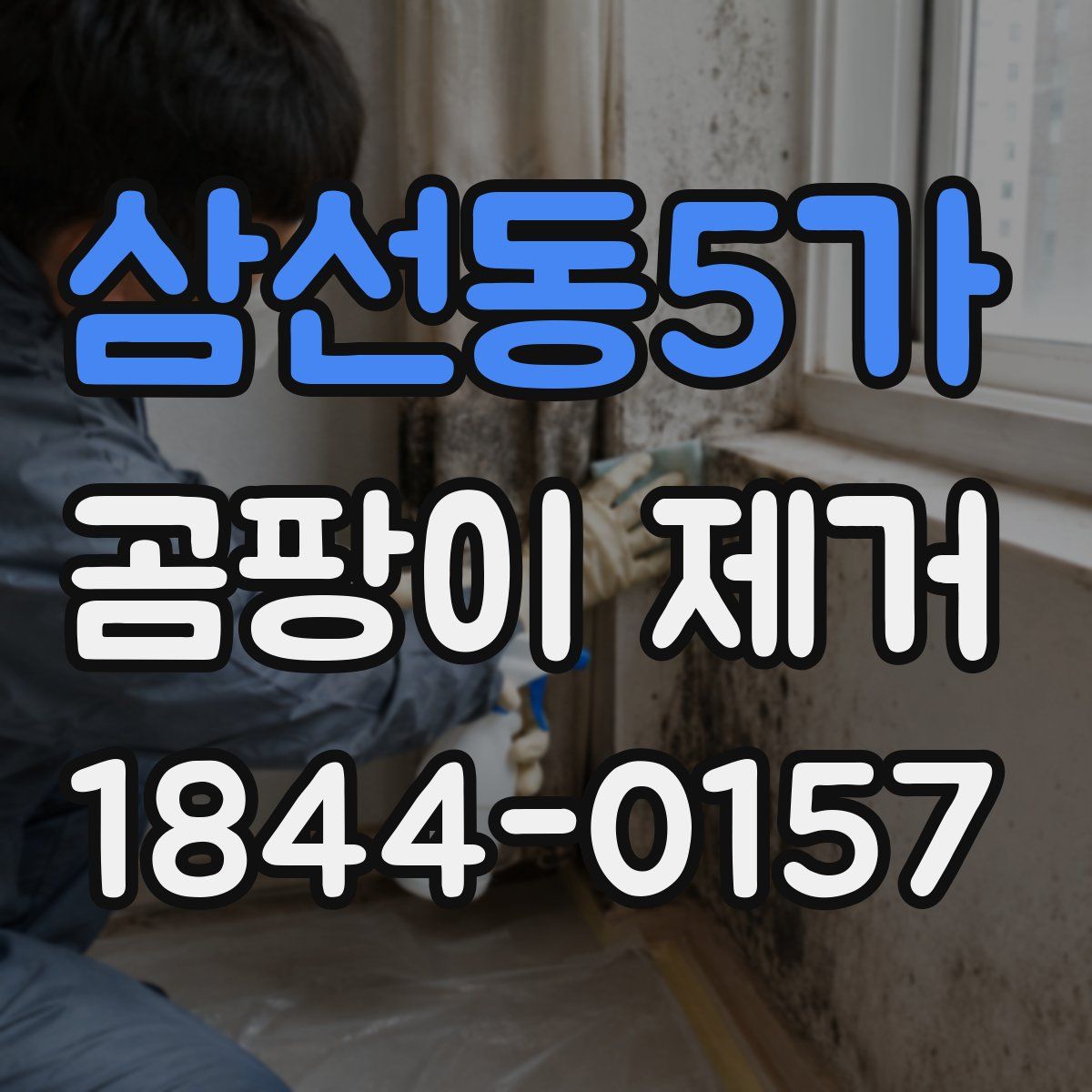 삼선동5가 곰팡이 제거