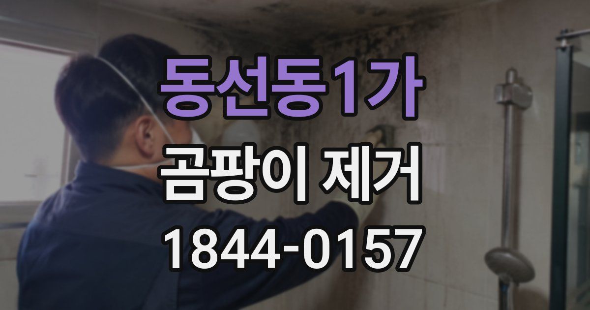 동선동1가 곰팡이 제거