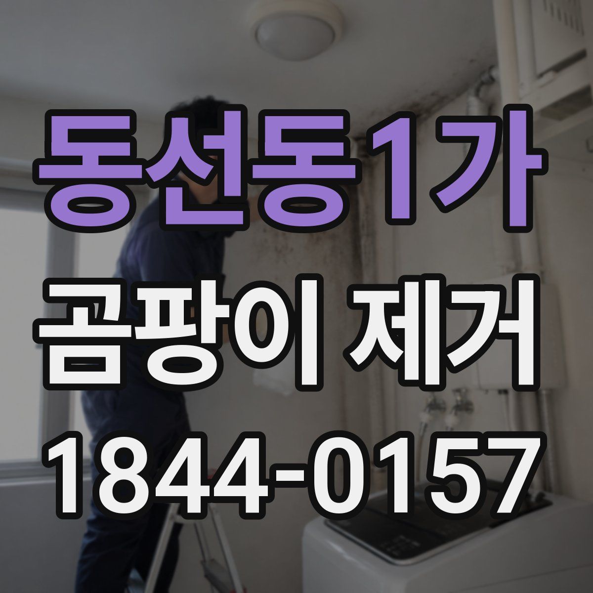 동선동1가 곰팡이 제거
