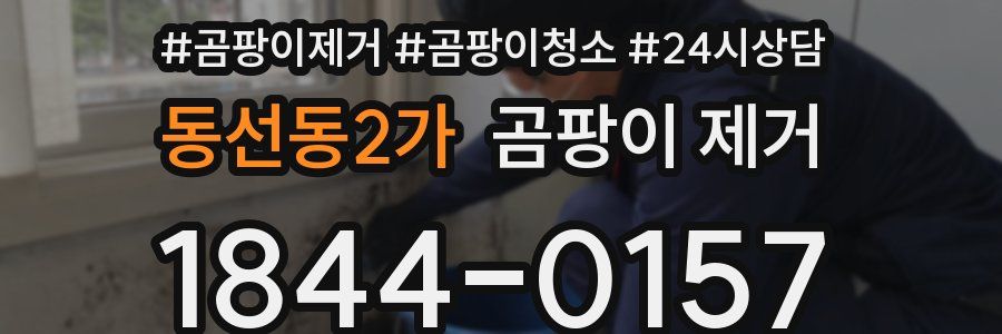 동선동2가 곰팡이 제거