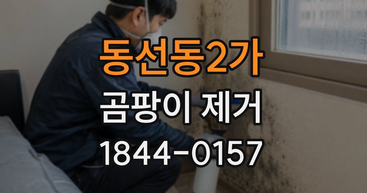 동선동2가 곰팡이 제거