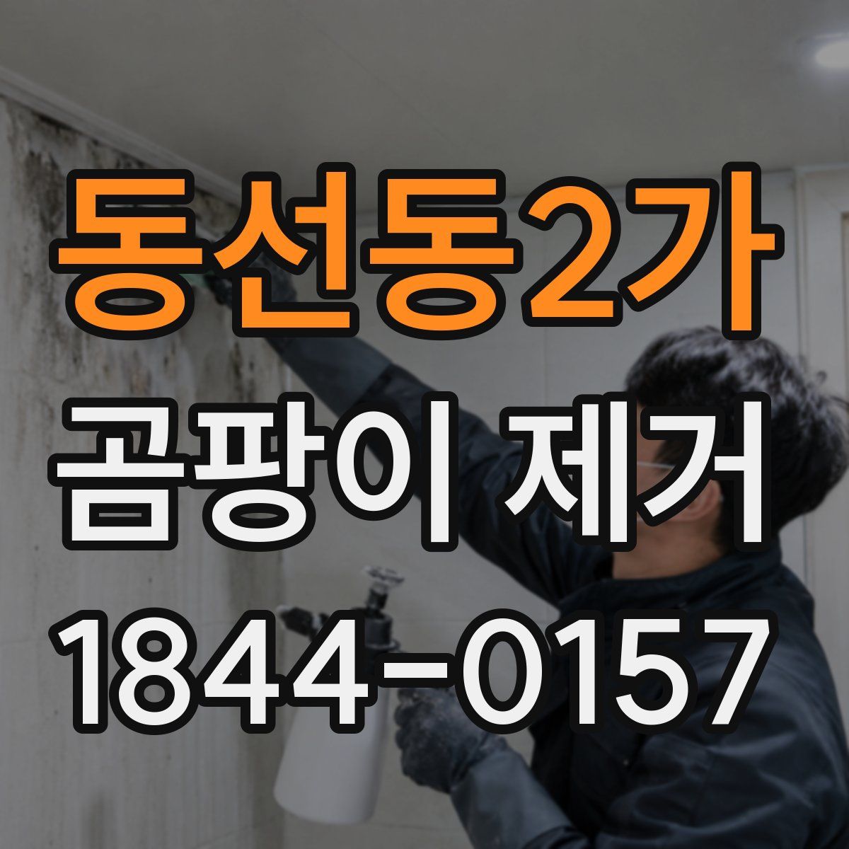 동선동2가 곰팡이 제거