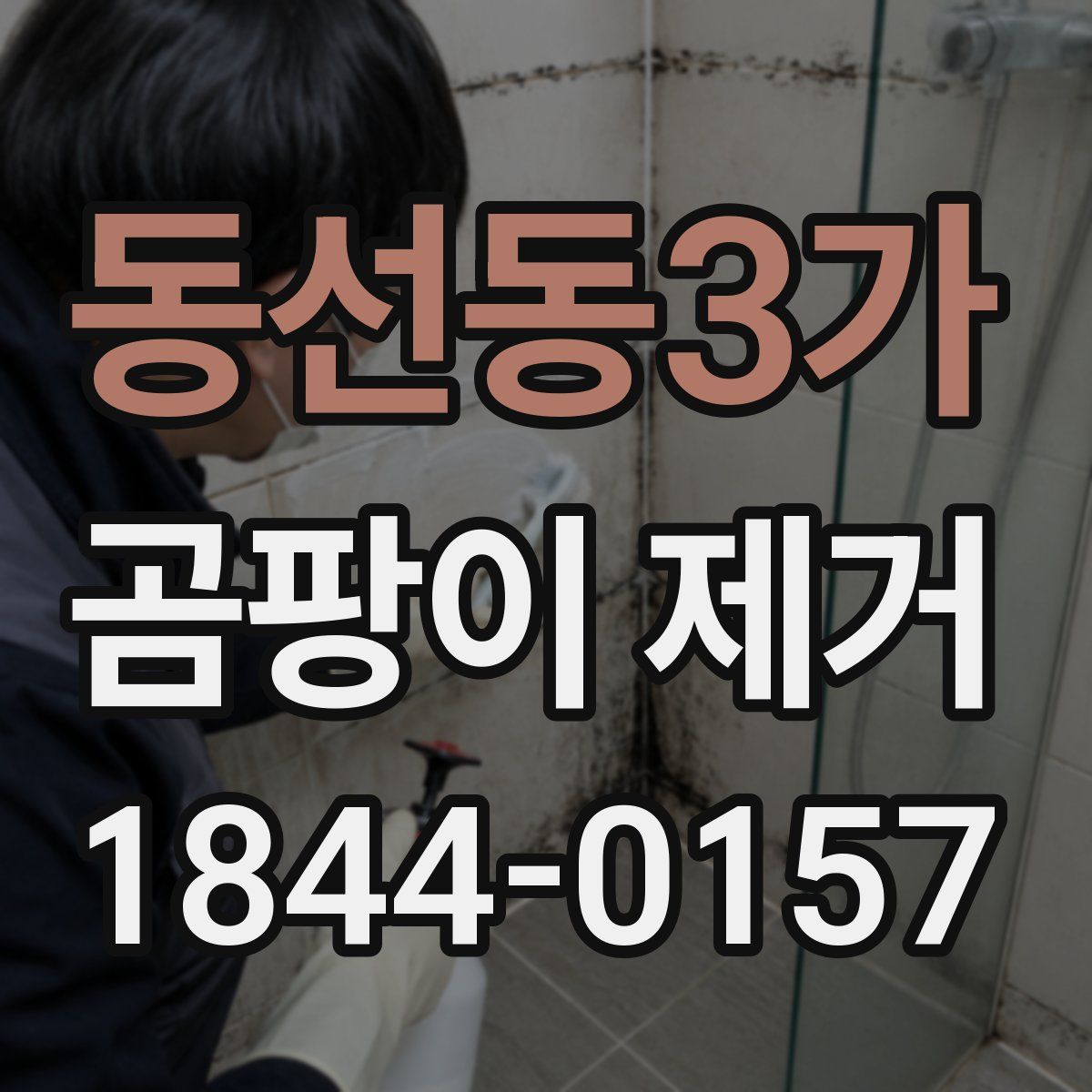 동선동3가 곰팡이 제거