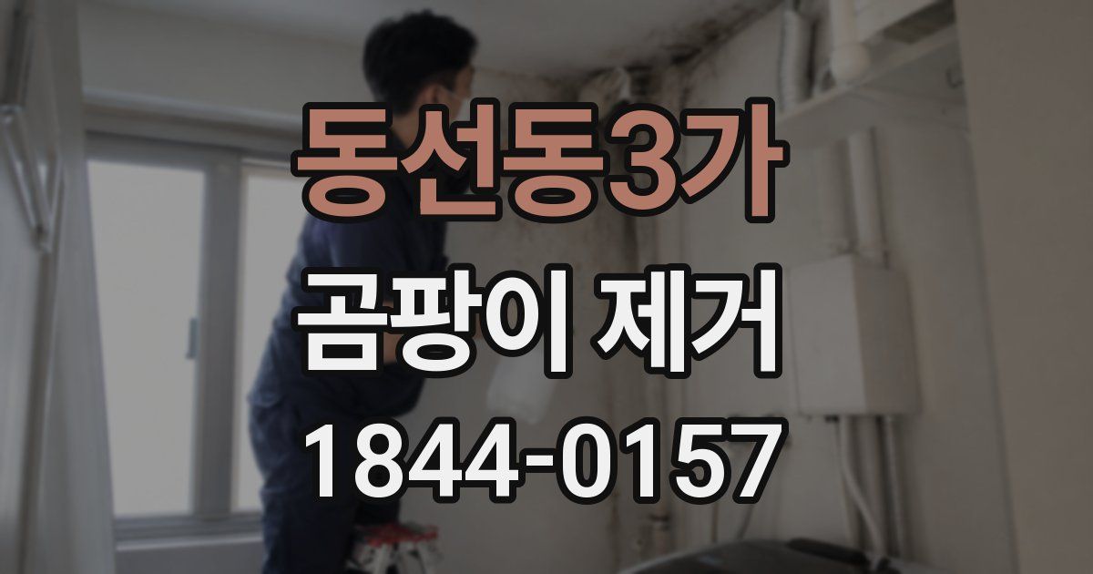 동선동3가 곰팡이 제거