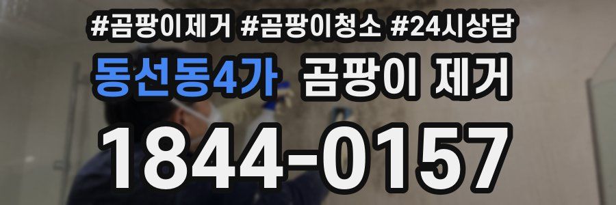 동선동4가 곰팡이 제거