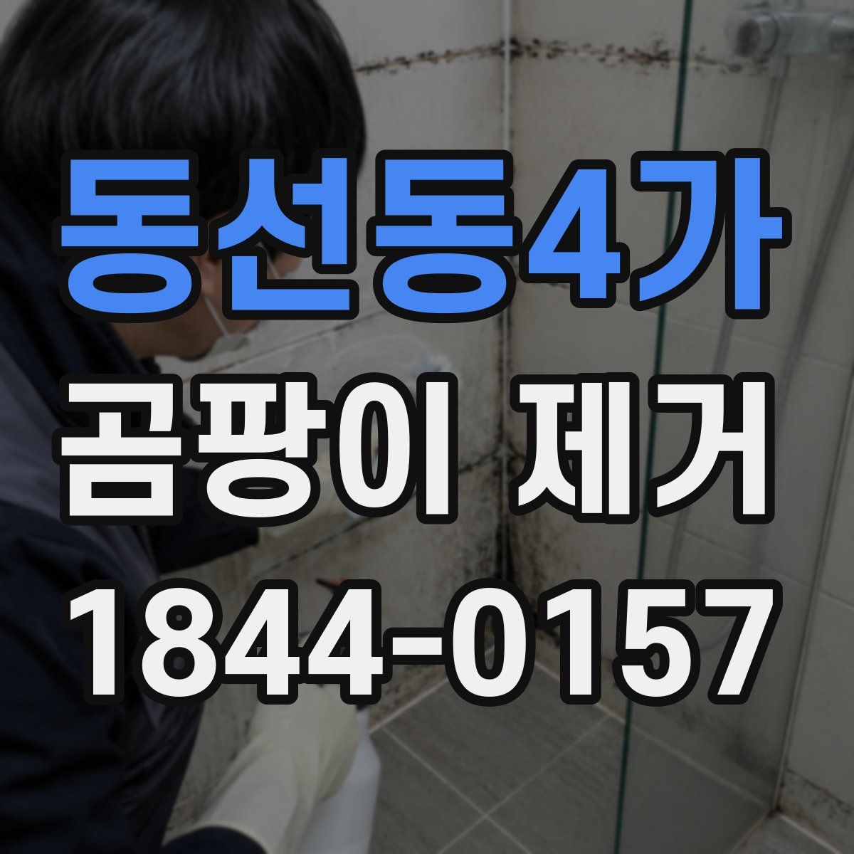 동선동4가 곰팡이 제거