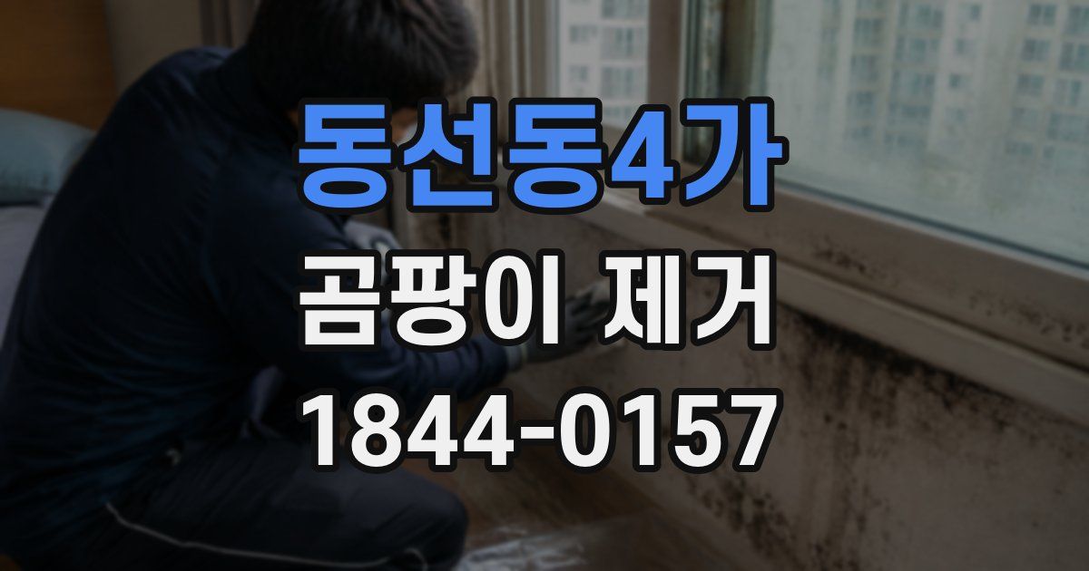 동선동4가 곰팡이 제거