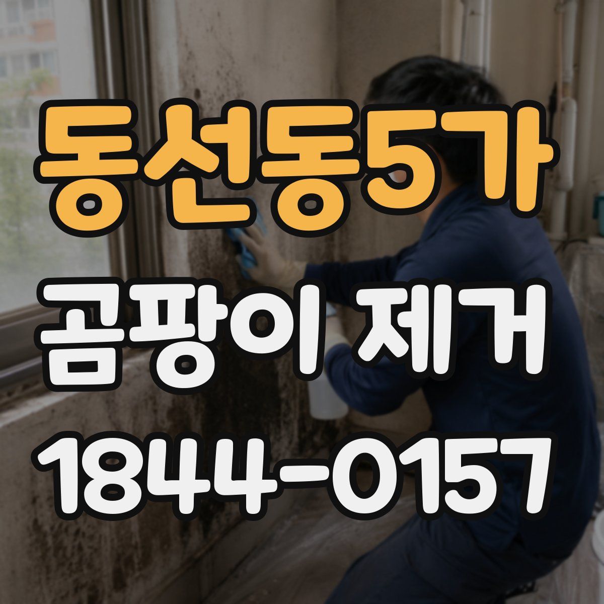 동선동5가 곰팡이 제거
