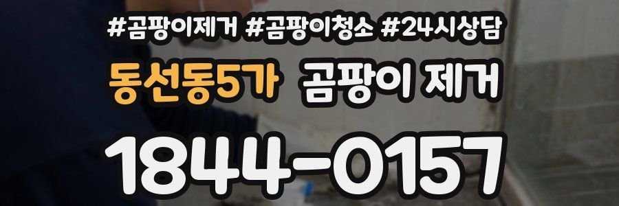 동선동5가 곰팡이 제거