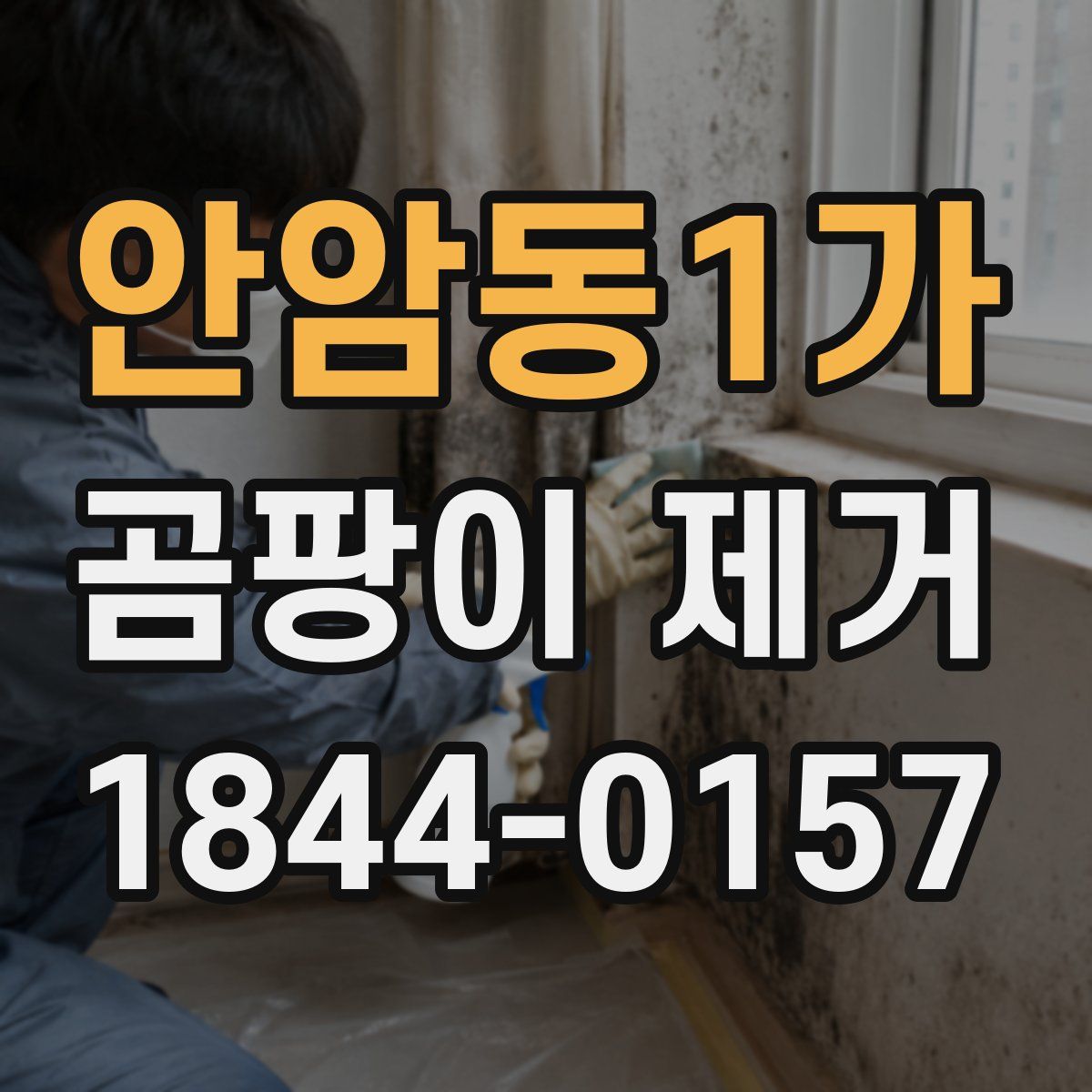 안암동1가 곰팡이 제거