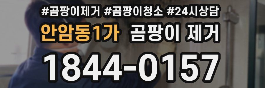안암동1가 곰팡이 제거