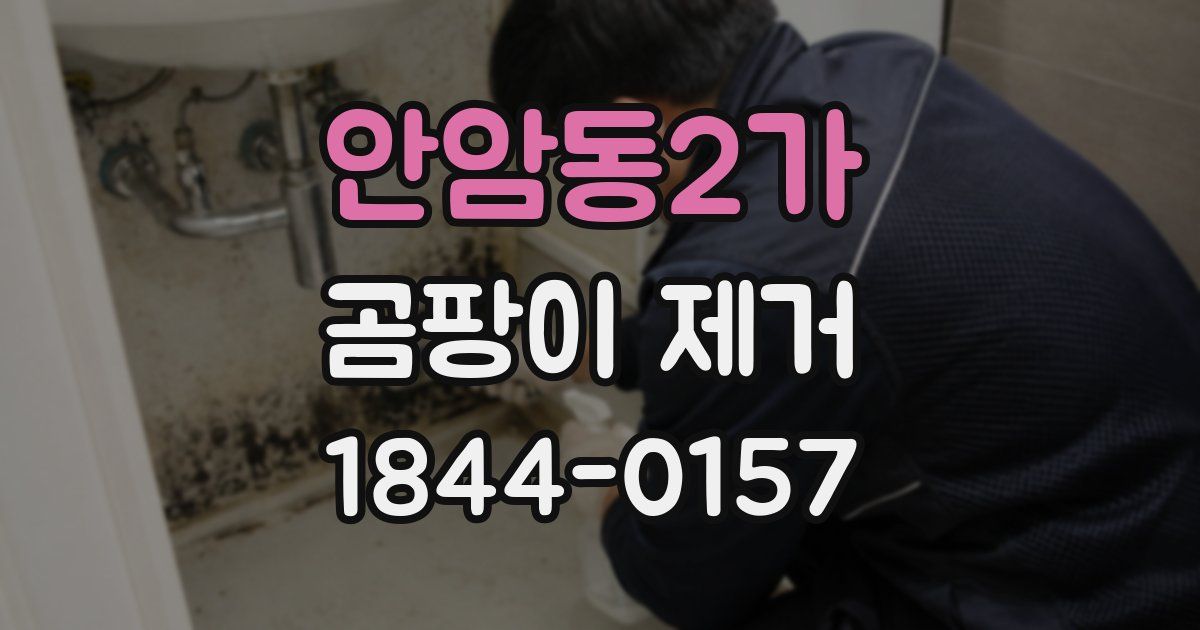 안암동2가 곰팡이 제거