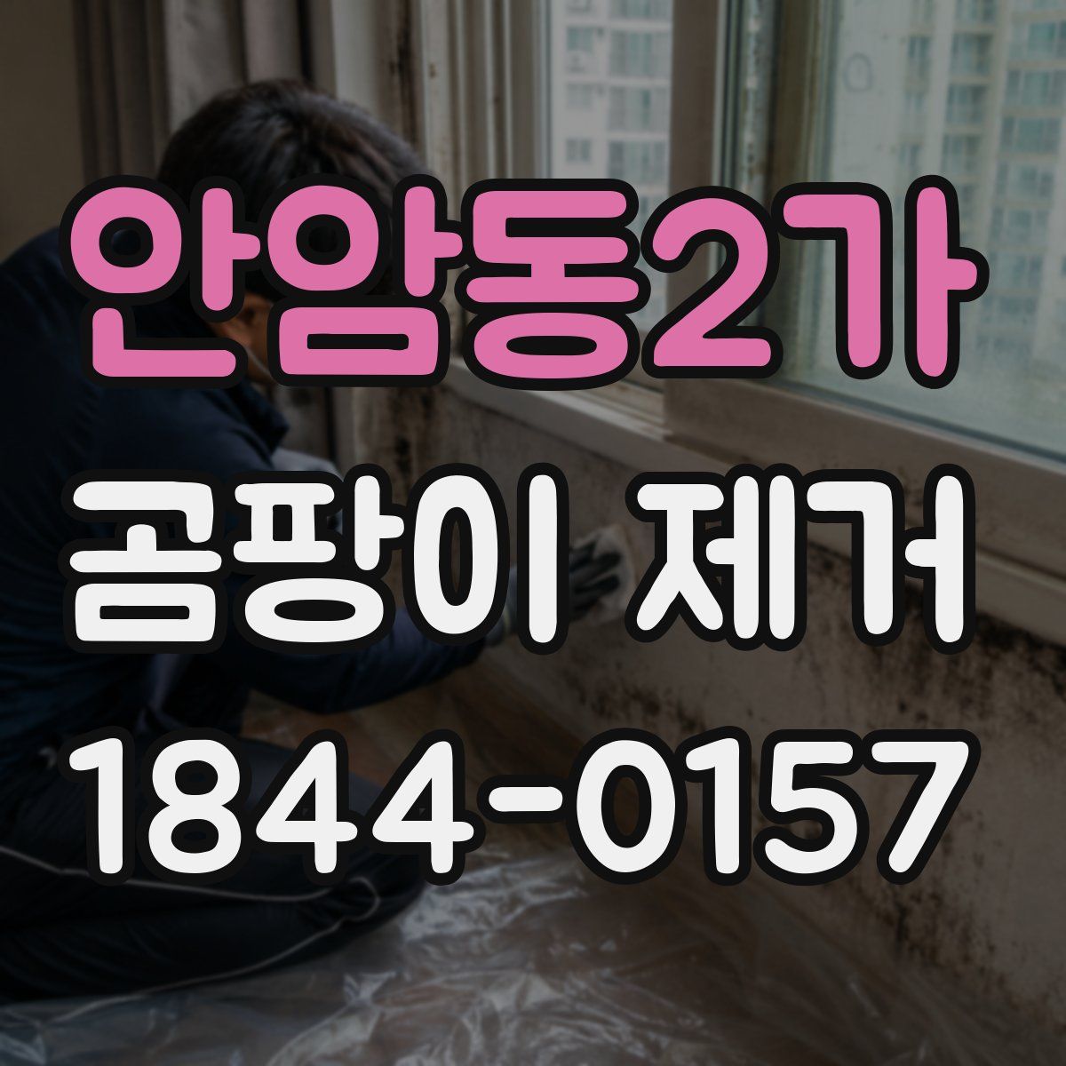 안암동2가 곰팡이 제거