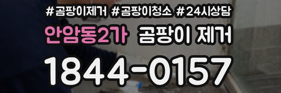 안암동2가 곰팡이 제거